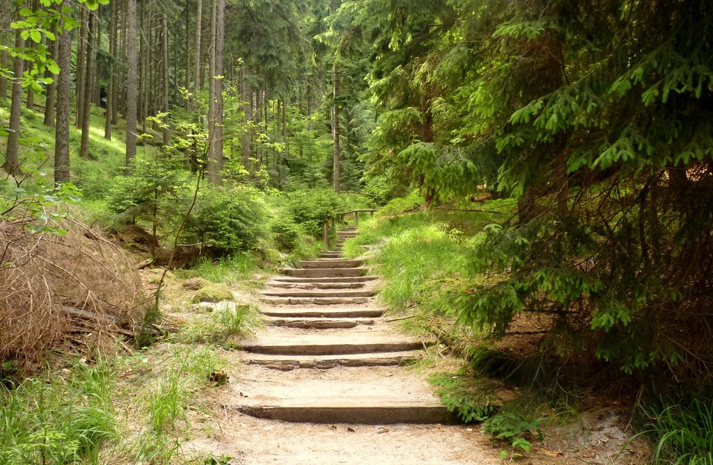 Heiliger Wenzel
