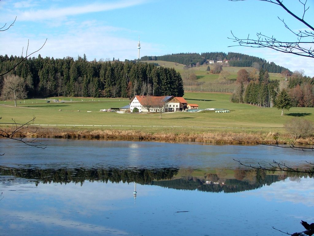 Photo №2 of Herrenwieser Weiher