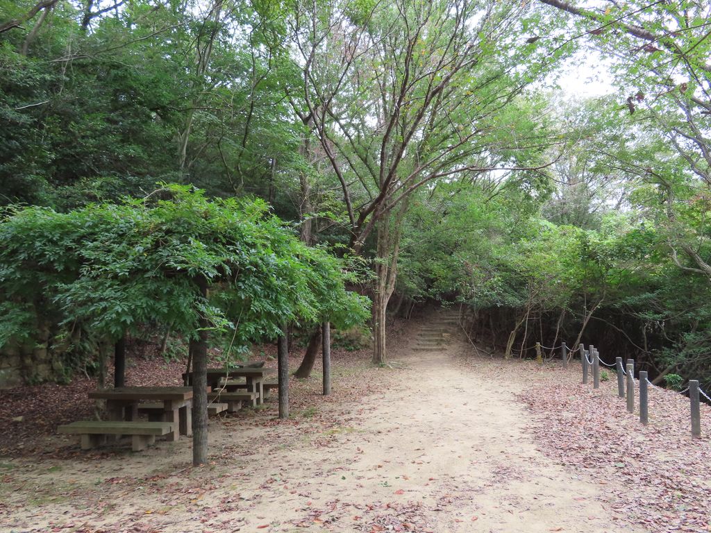 Shizen Kansatsu No Mori