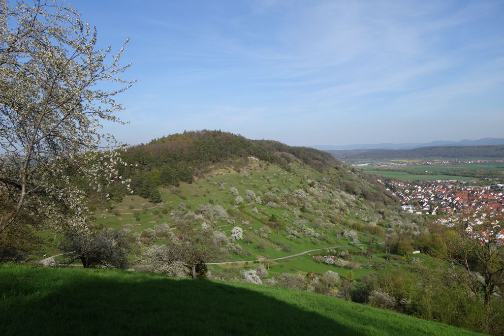 Photo №2 of Kapellenberg