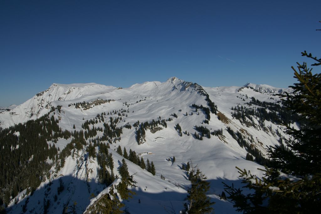 Photo №3 of Nob