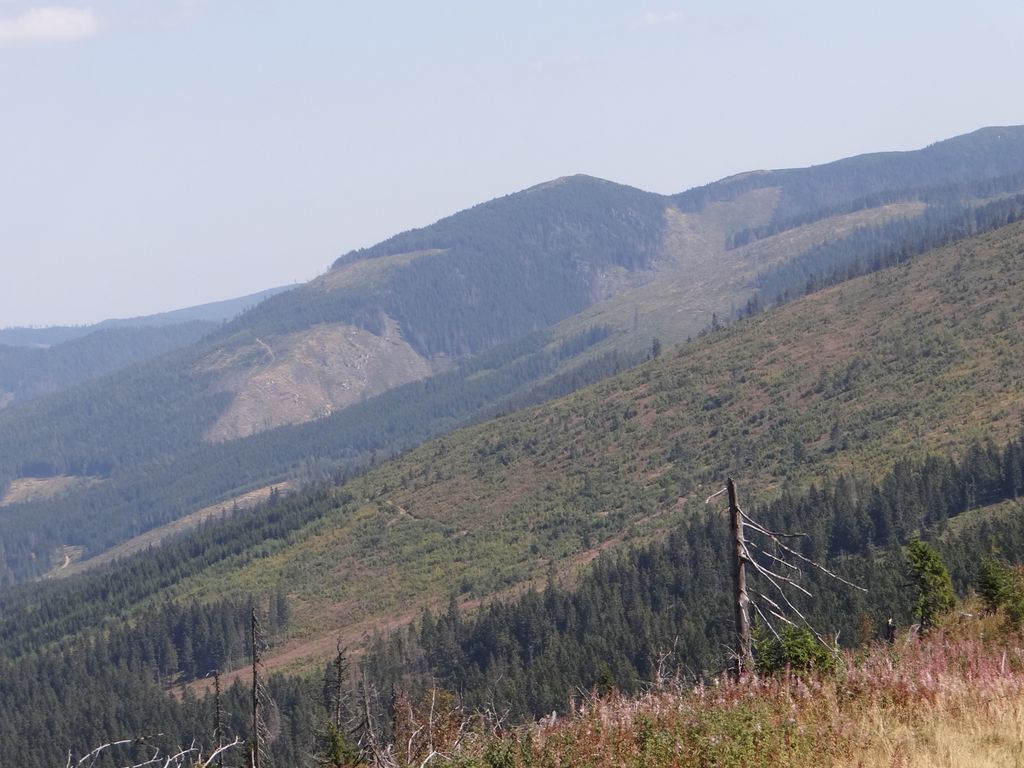 Photo №1 of Holica