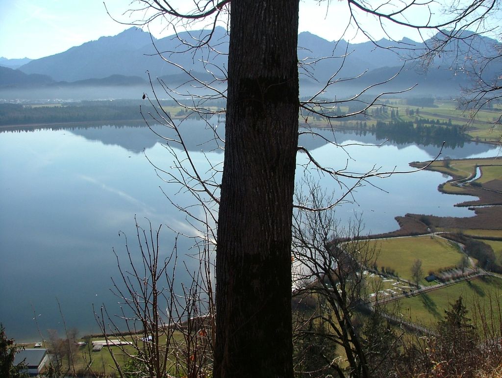 Photo №6 of Vilser Bebele