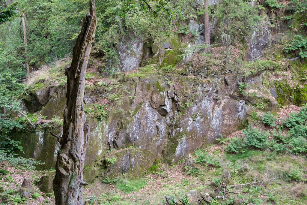 Photo №3 of Bärenstein