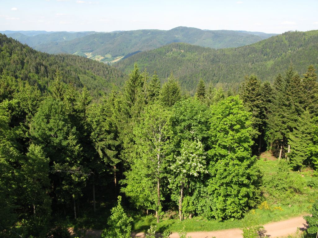 Photo №3 of Huberfelsen