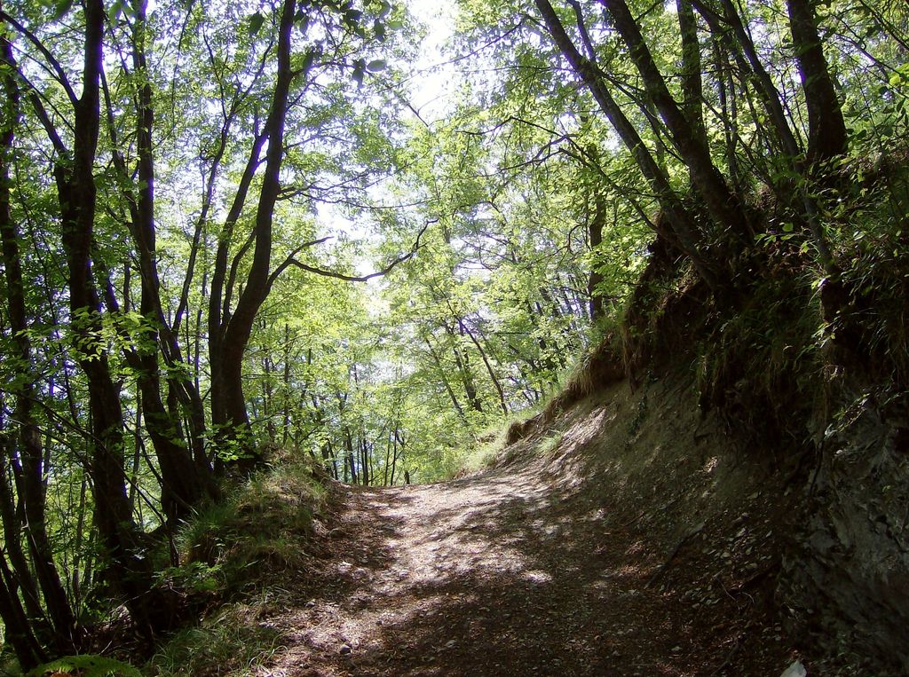 Photo №2 of Forca di Valle