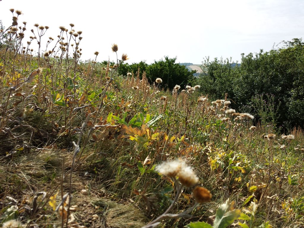 Photo №3 of Dernberg
