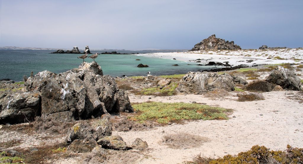 Photo №2 of Isla Damas
