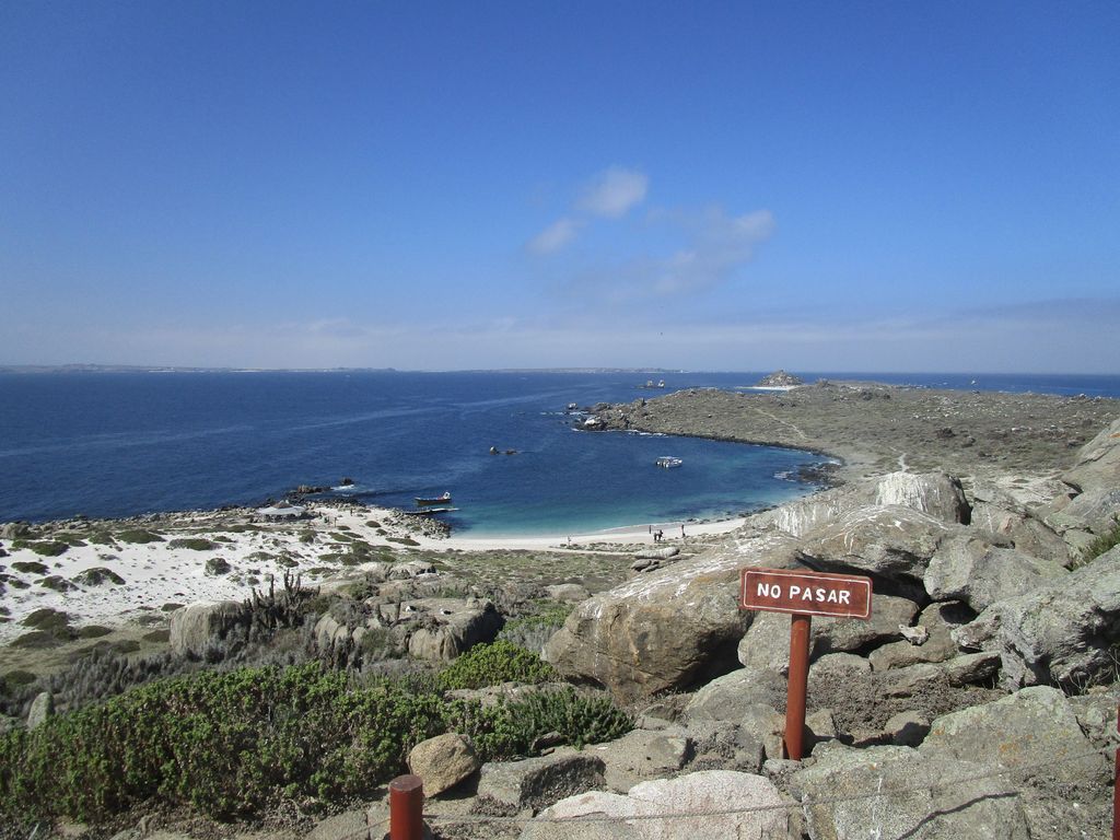 Photo №3 of Isla Damas