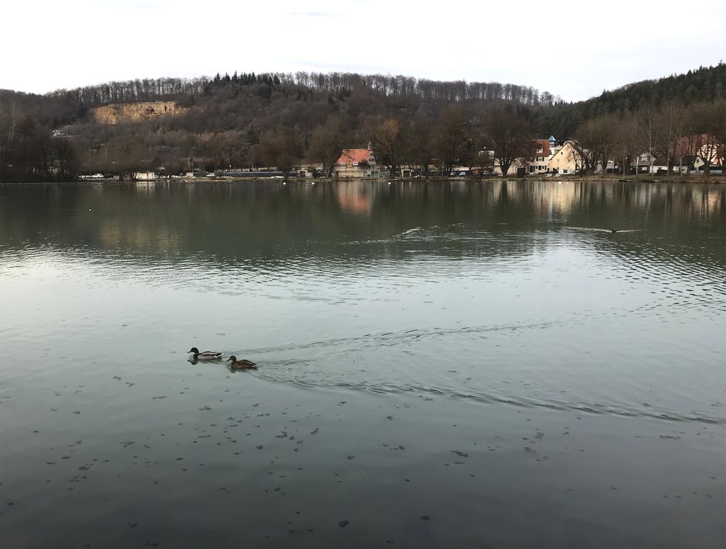 Photo №2 of Itzelberger See