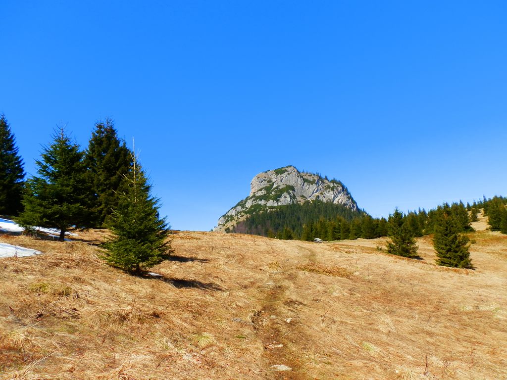 Photo №3 of Medzirozsutce