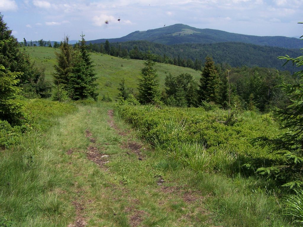 Photo №2 of Kutrzyca