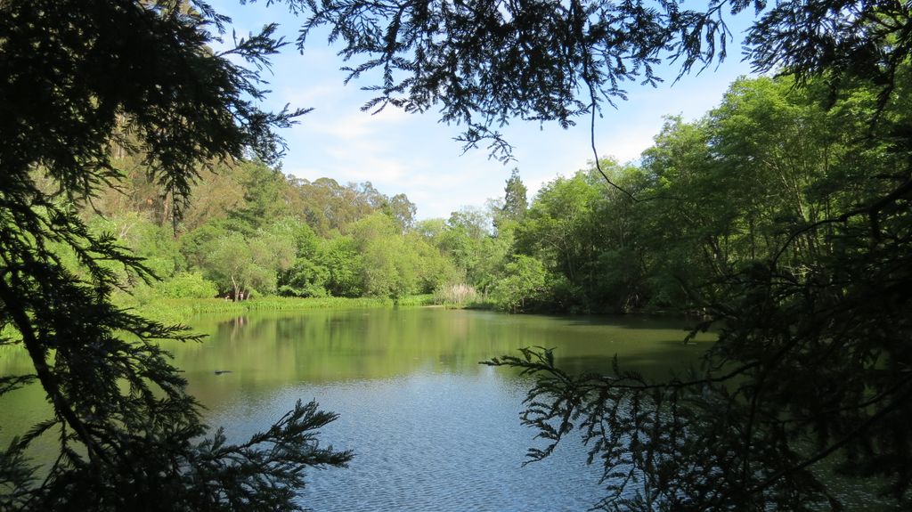 Jewel Lake