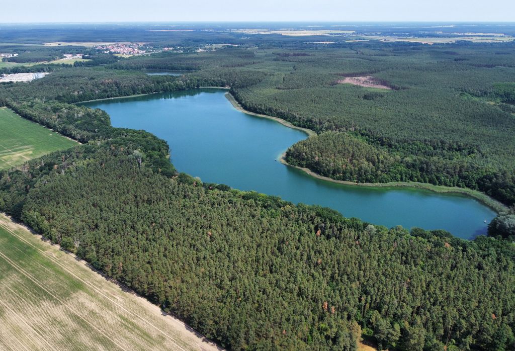 Photo №2 of Jezioro Cisie