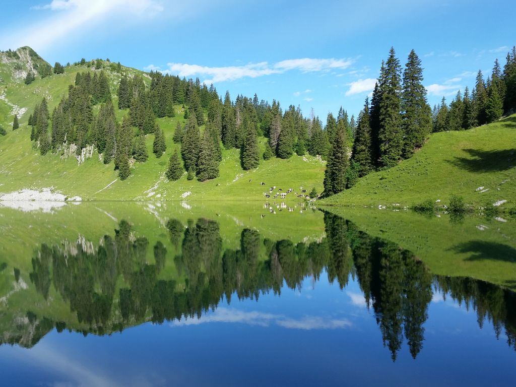 Photo №2 of Oberstockensee
