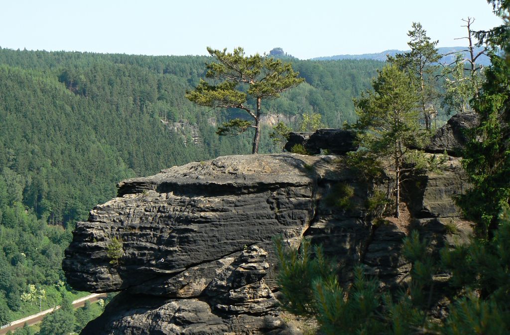 Photo №2 of Belvedér