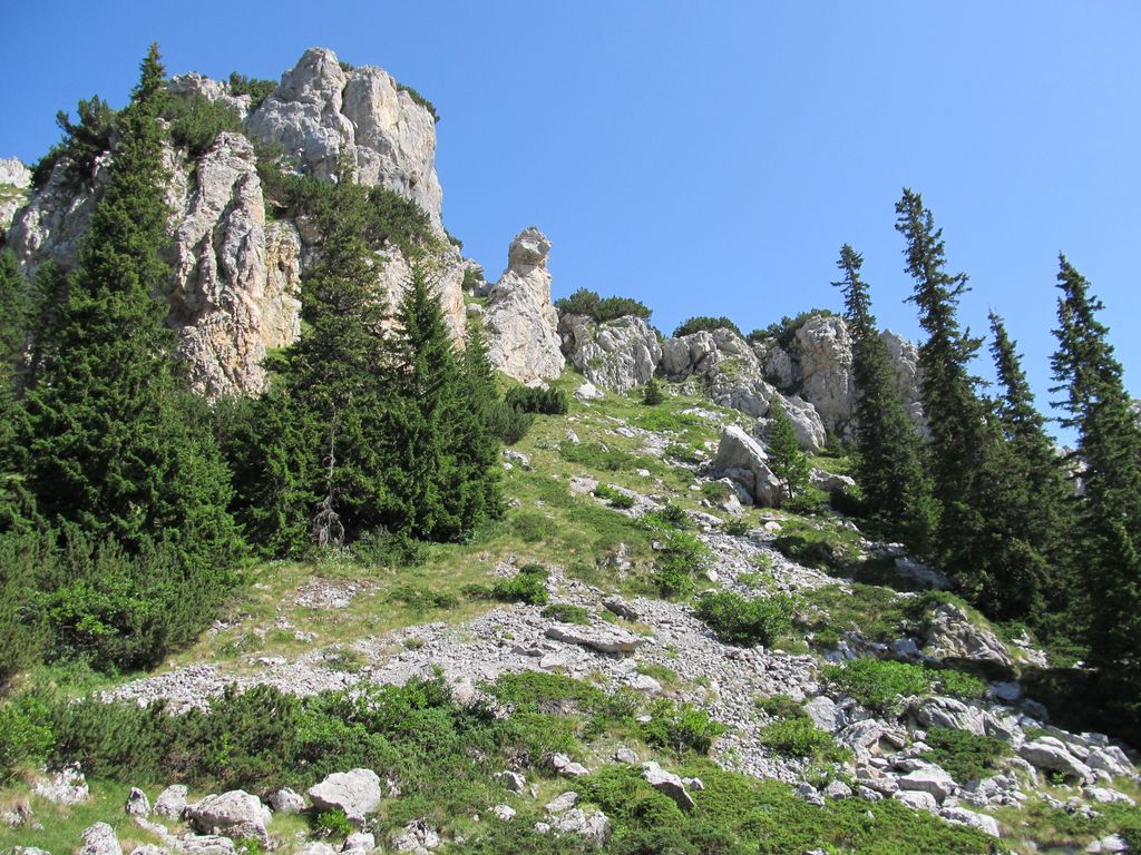 Photo №2 of Ražana glava