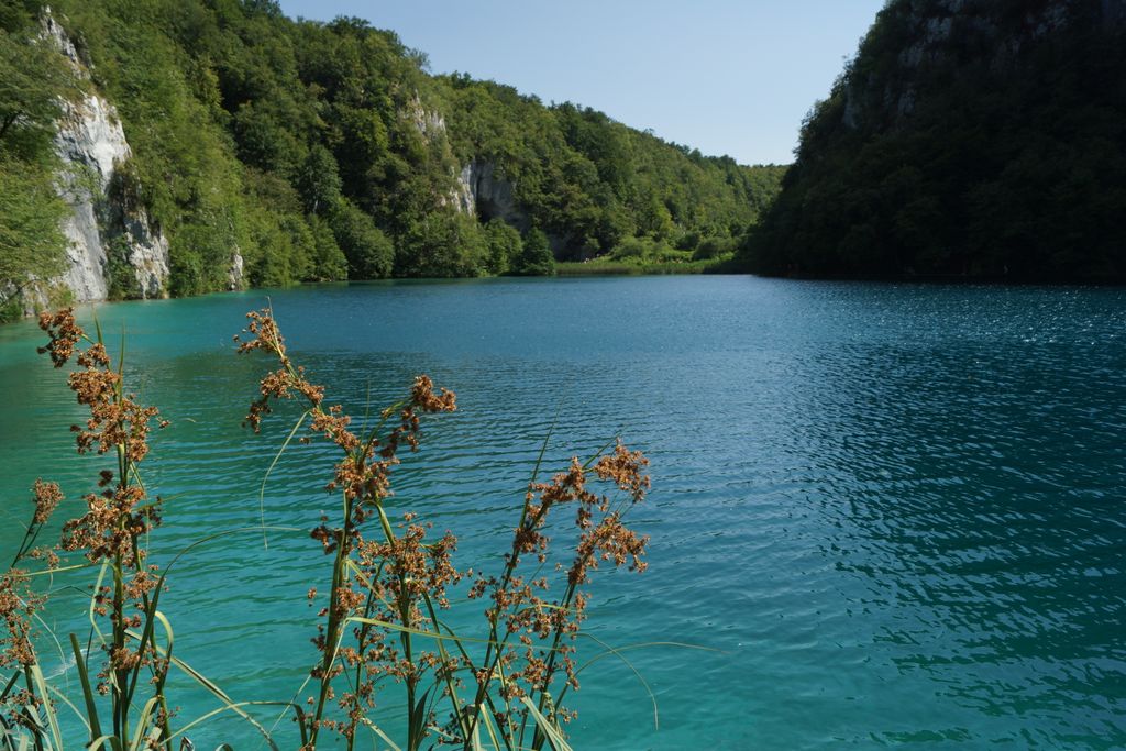 Kaluđerovac