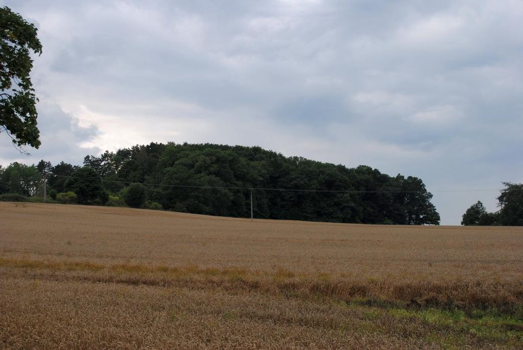 Photo №2 of Komorní hůrka
