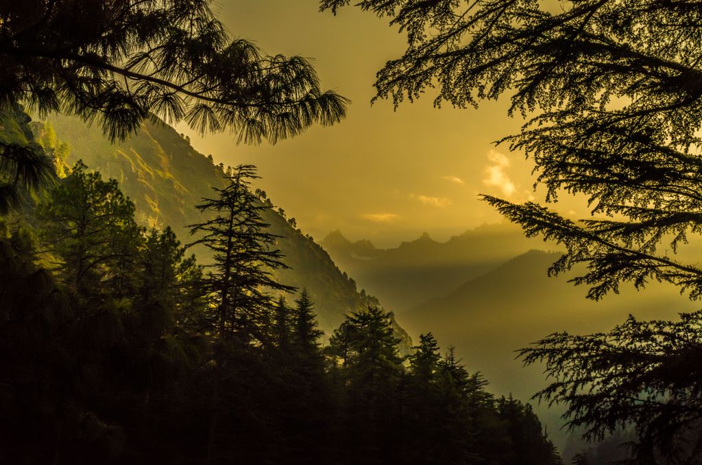 Photo №3 of Kasol