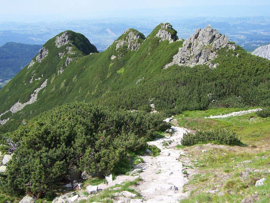 Photo №2 of Sucha Czuba