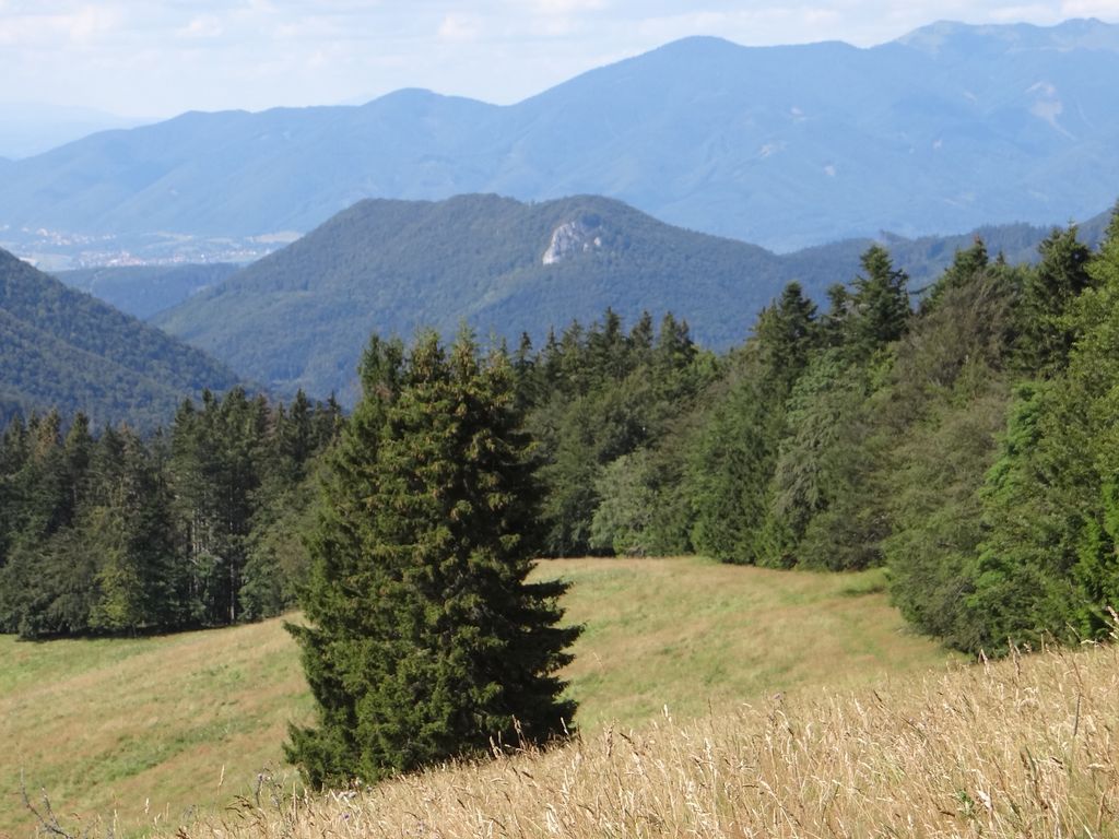 Photo №2 of Katova skala