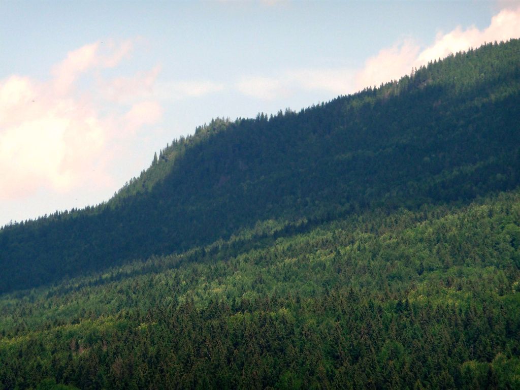 Photo №4 of Kleiner Falkenstein
