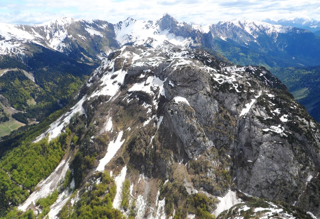Photo №2 of Kleiner Pal
