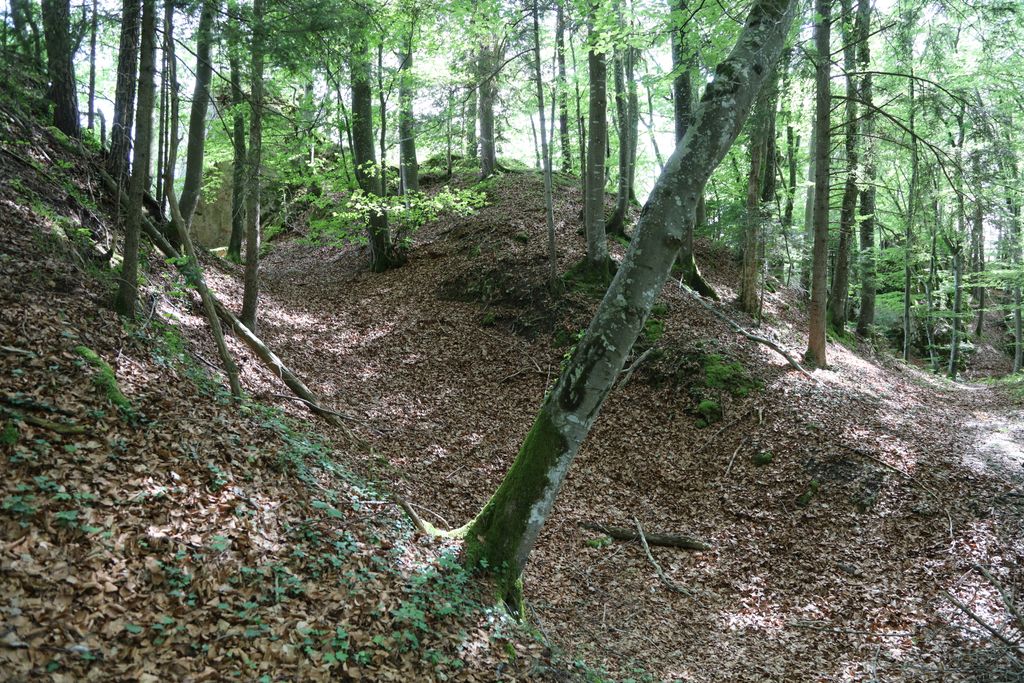 Photo №11 of Blauenstein