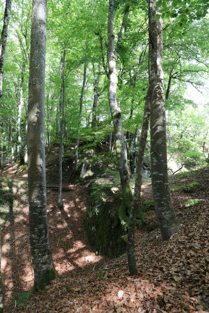Photo №2 of Blauenstein