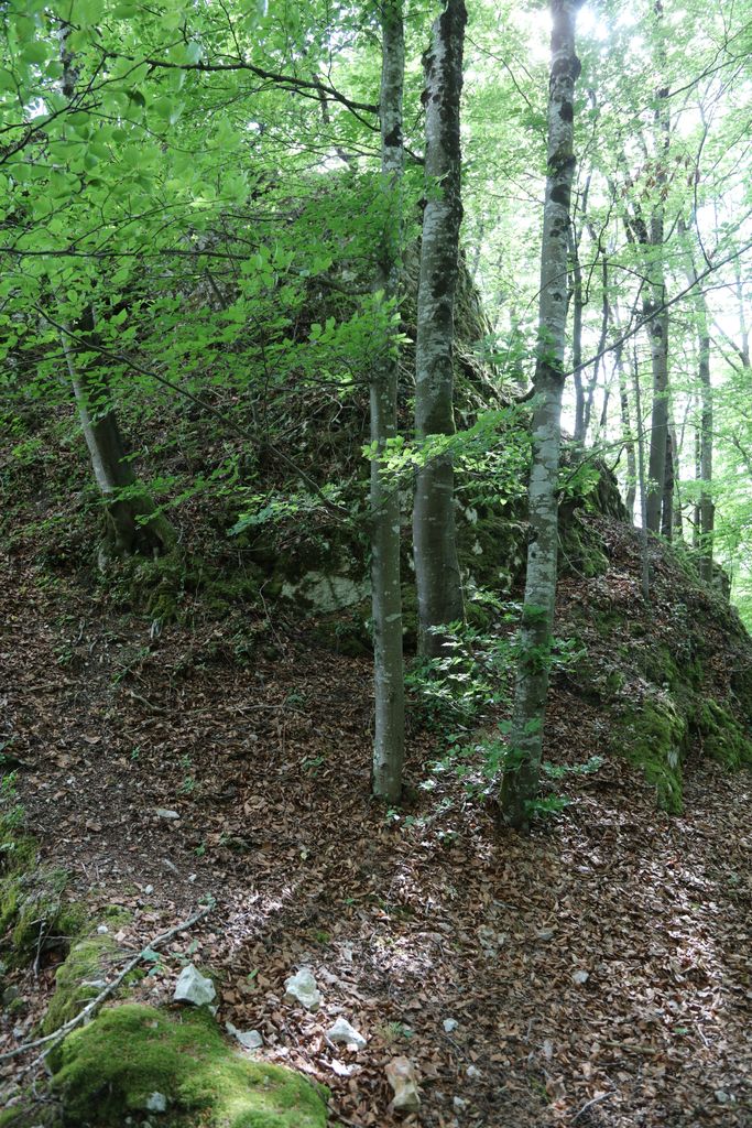 Photo №4 of Blauenstein