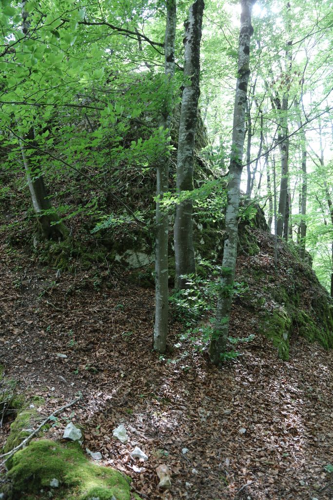 Photo №7 of Blauenstein
