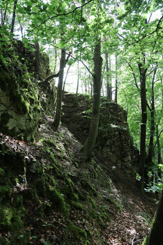 Photo №9 of Blauenstein
