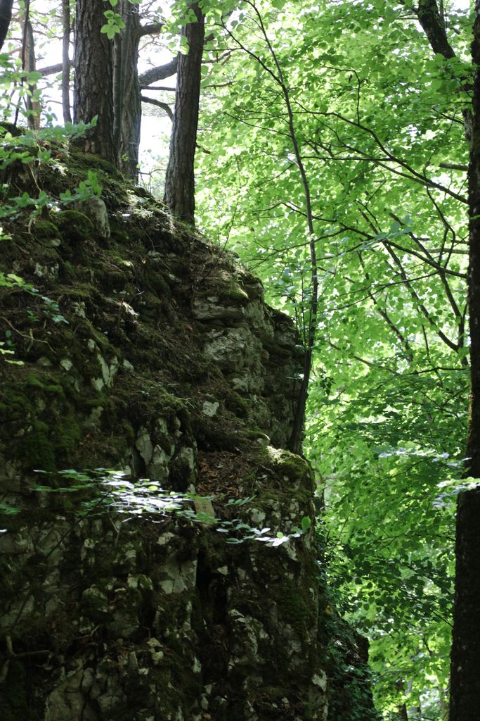 Photo №8 of Blauenstein