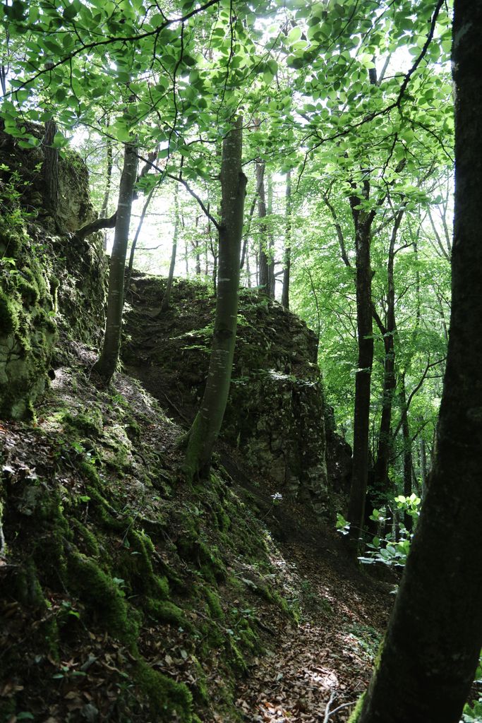 Photo №10 of Blauenstein