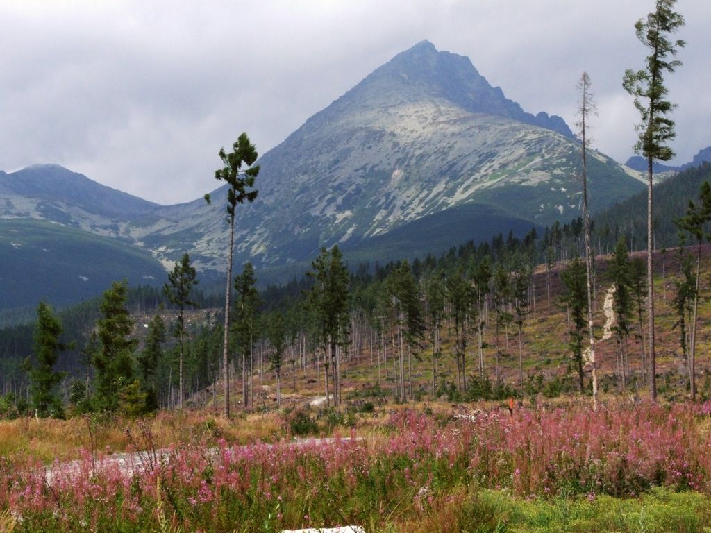 Photo №2 of Lúčne sedlo