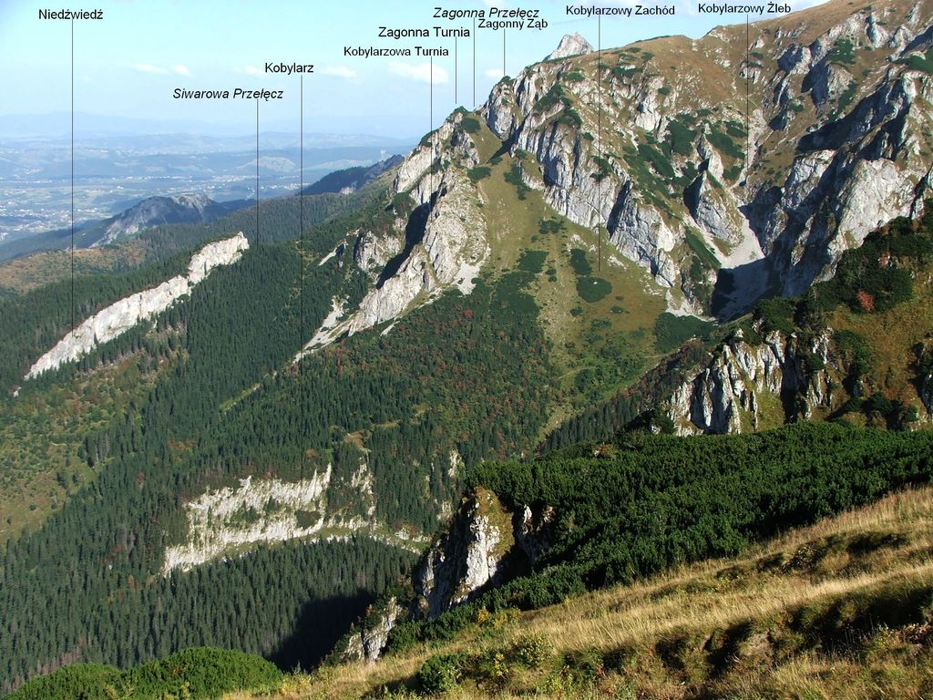 Photo №2 of Kobylarz