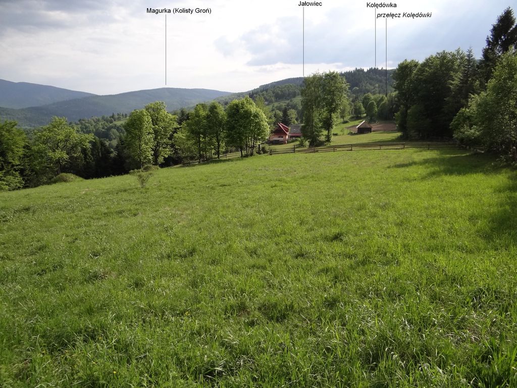 Photo №2 of Kolędówka