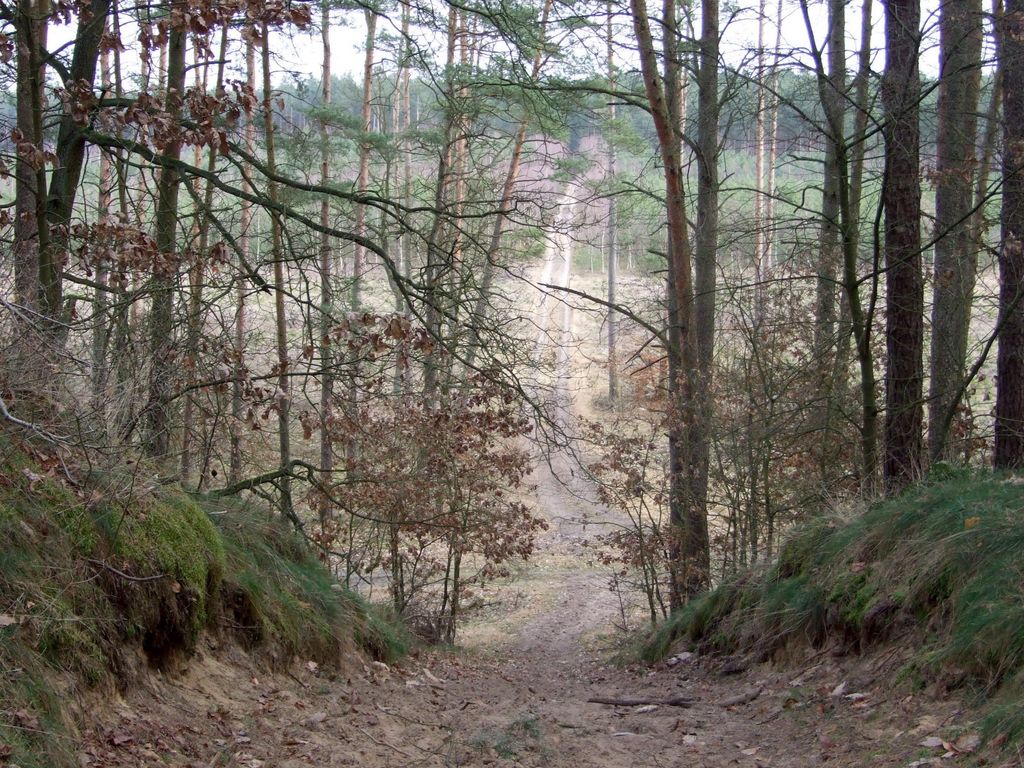 Photo №1 of Komorze Góry