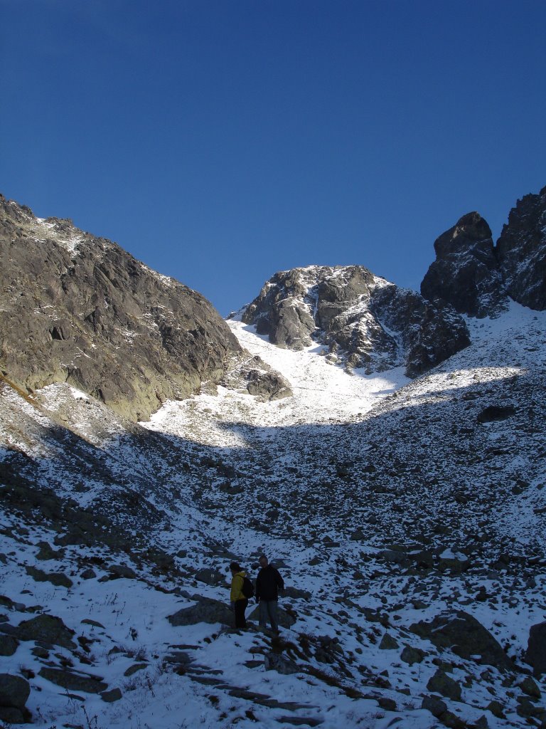 Photo №2 of Ptak