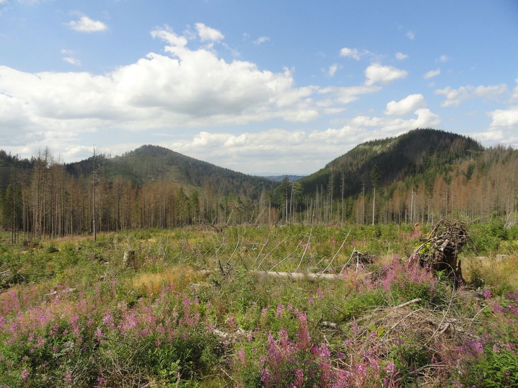 Photo №2 of Mały Kopieniec