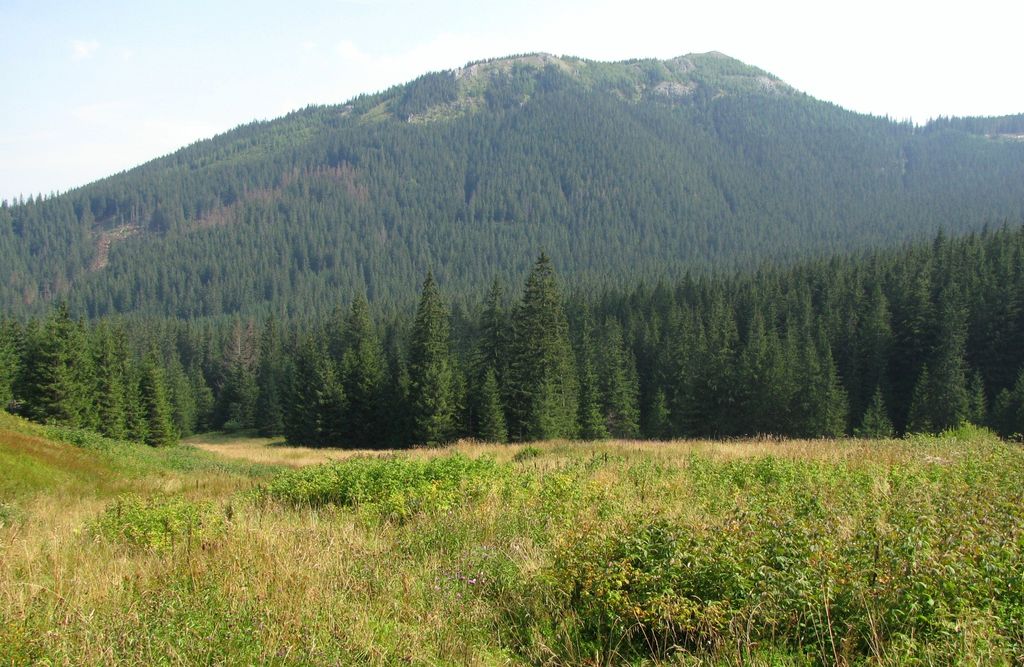 Photo №8 of Wielki Kopieniec