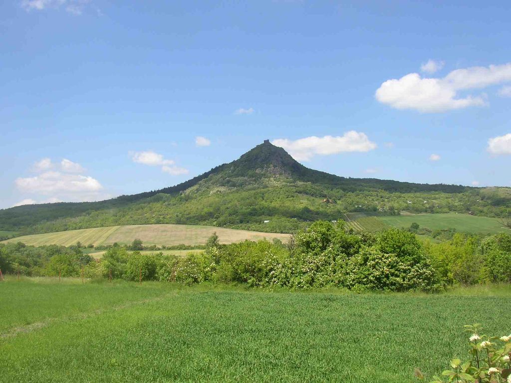 Košťál