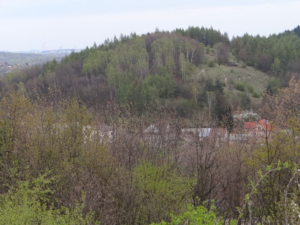 Photo №1 of Kowodrza