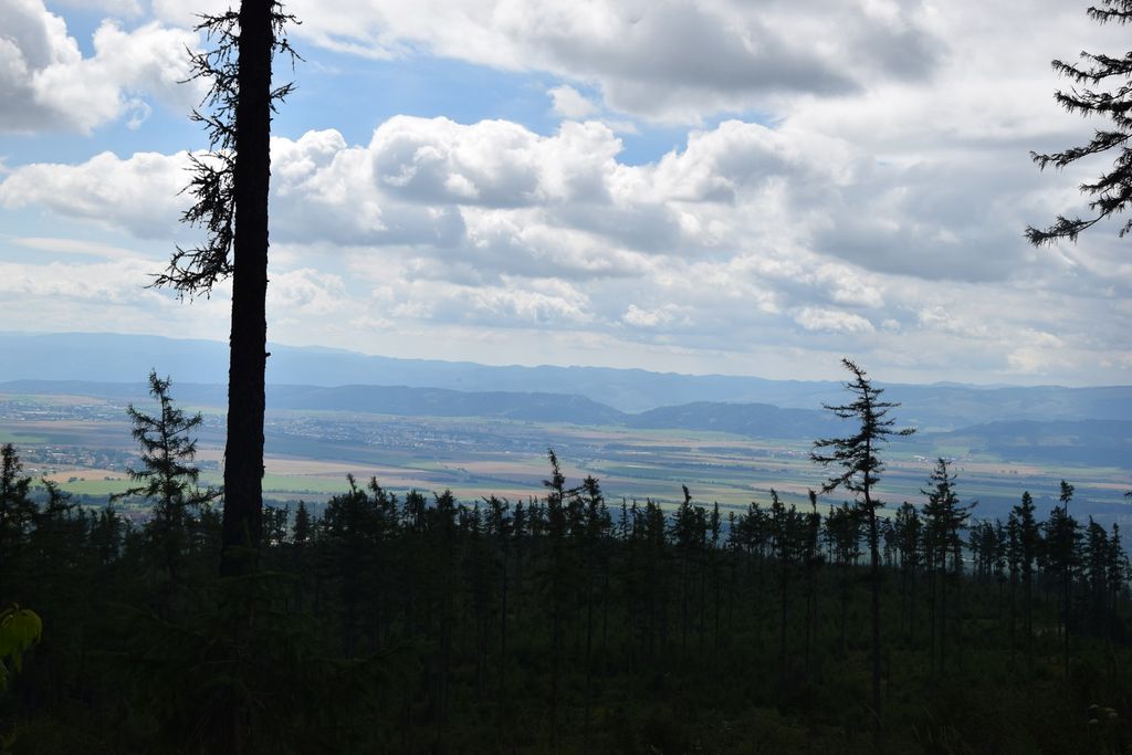 Photo №2 of Hrebienok