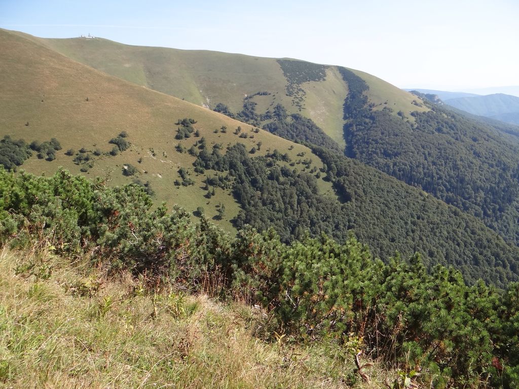 Photo №3 of Líška