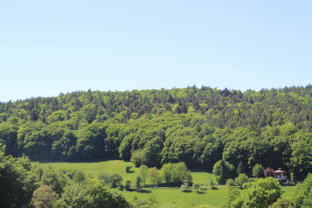 Photo №2 of Kriegelberg