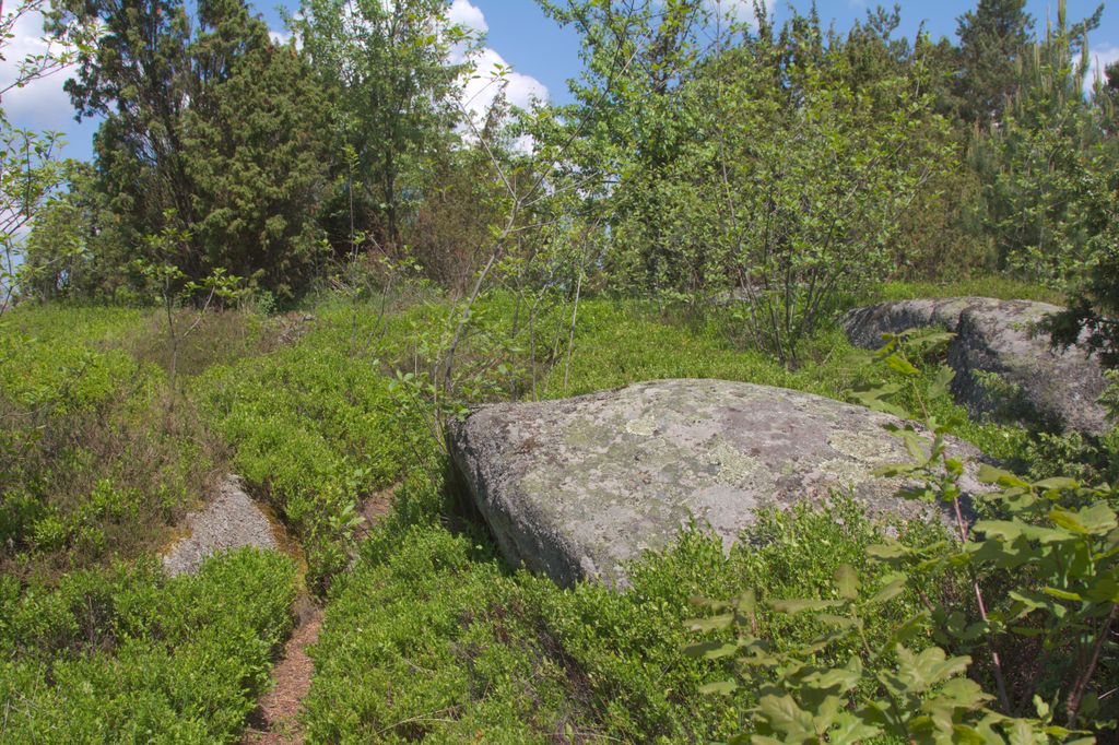 Photo №2 of Výhon