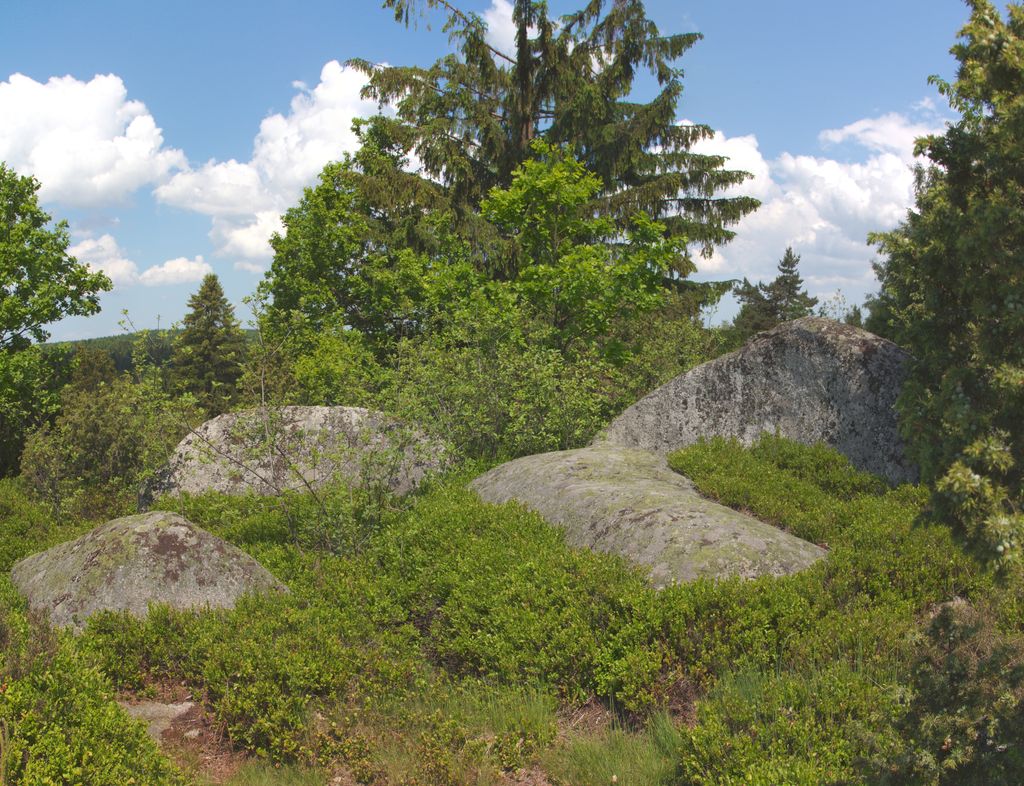 Photo №3 of Výhon