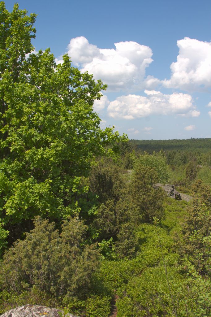 Photo №4 of Výhon